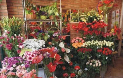 Kwiaciarnia Renata